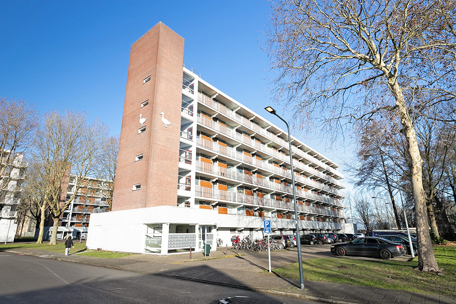 Studio for rent: Wensel Cobergherstraat 131A, Geeren-noord Breda