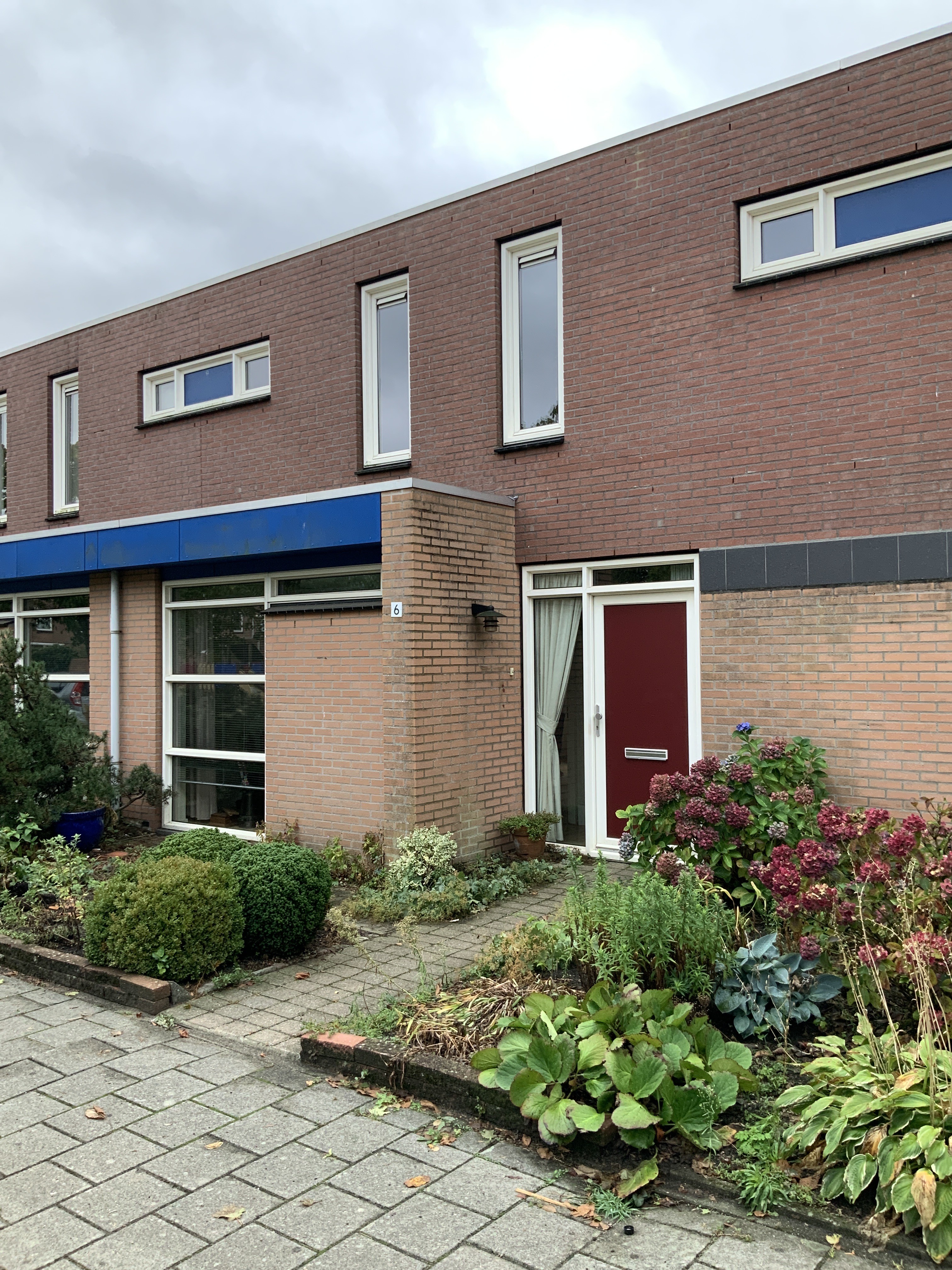 Boomblauwtje 6, 4814 TK Breda, Nederland