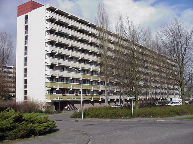 Helmersflat 31