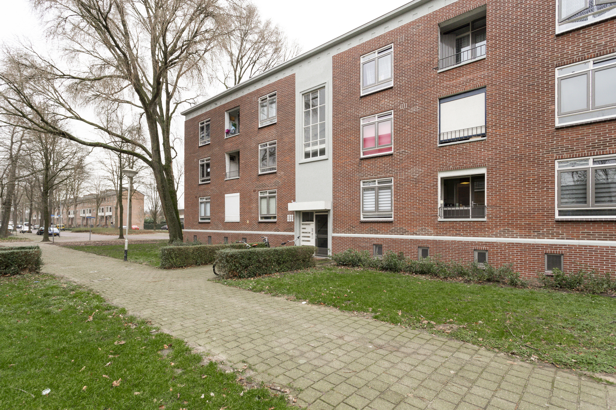 Jakob Edelstraat 5