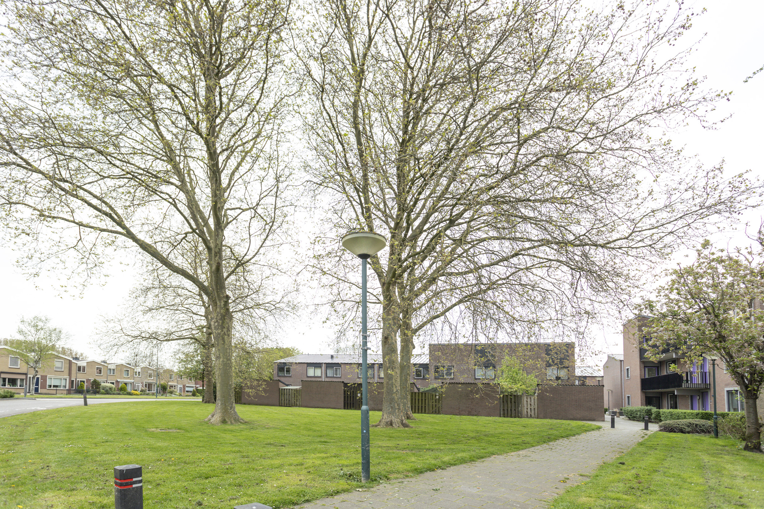 Burgemeester Reijndersstraat 29