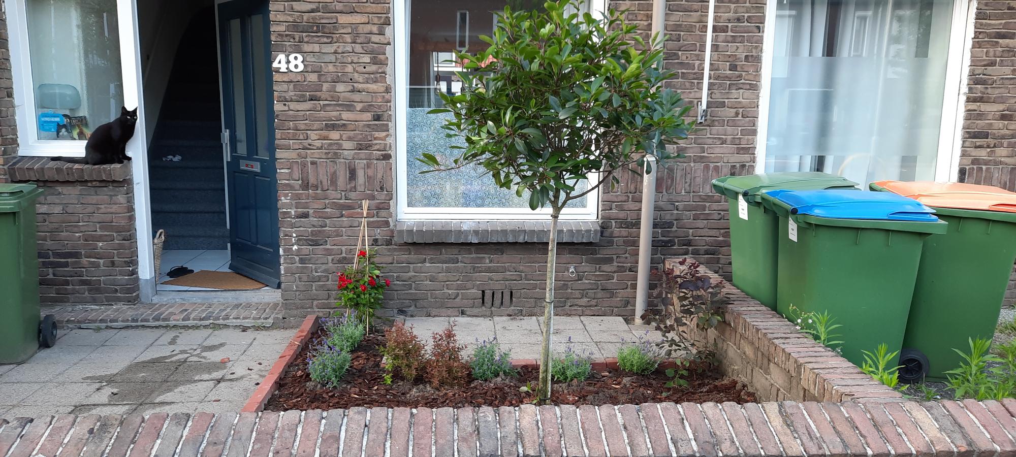 Koekoekstraat 48, 4815 AN Breda, Nederland