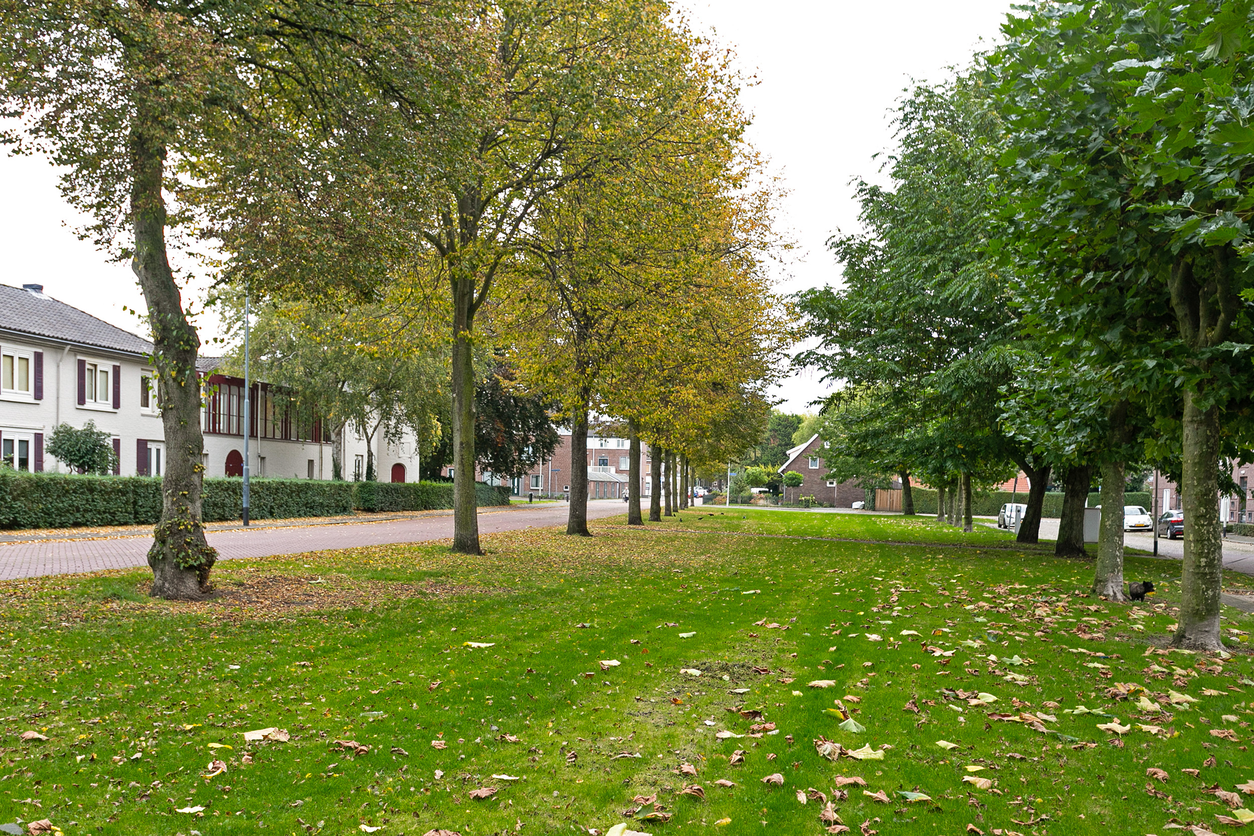 Van Slingelandtstraat 11A