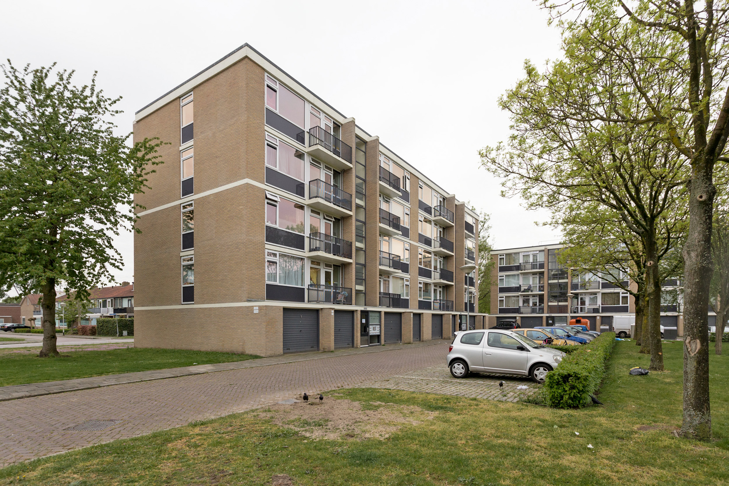 Epelenberg 33B, 4817 CA Breda, Nederland