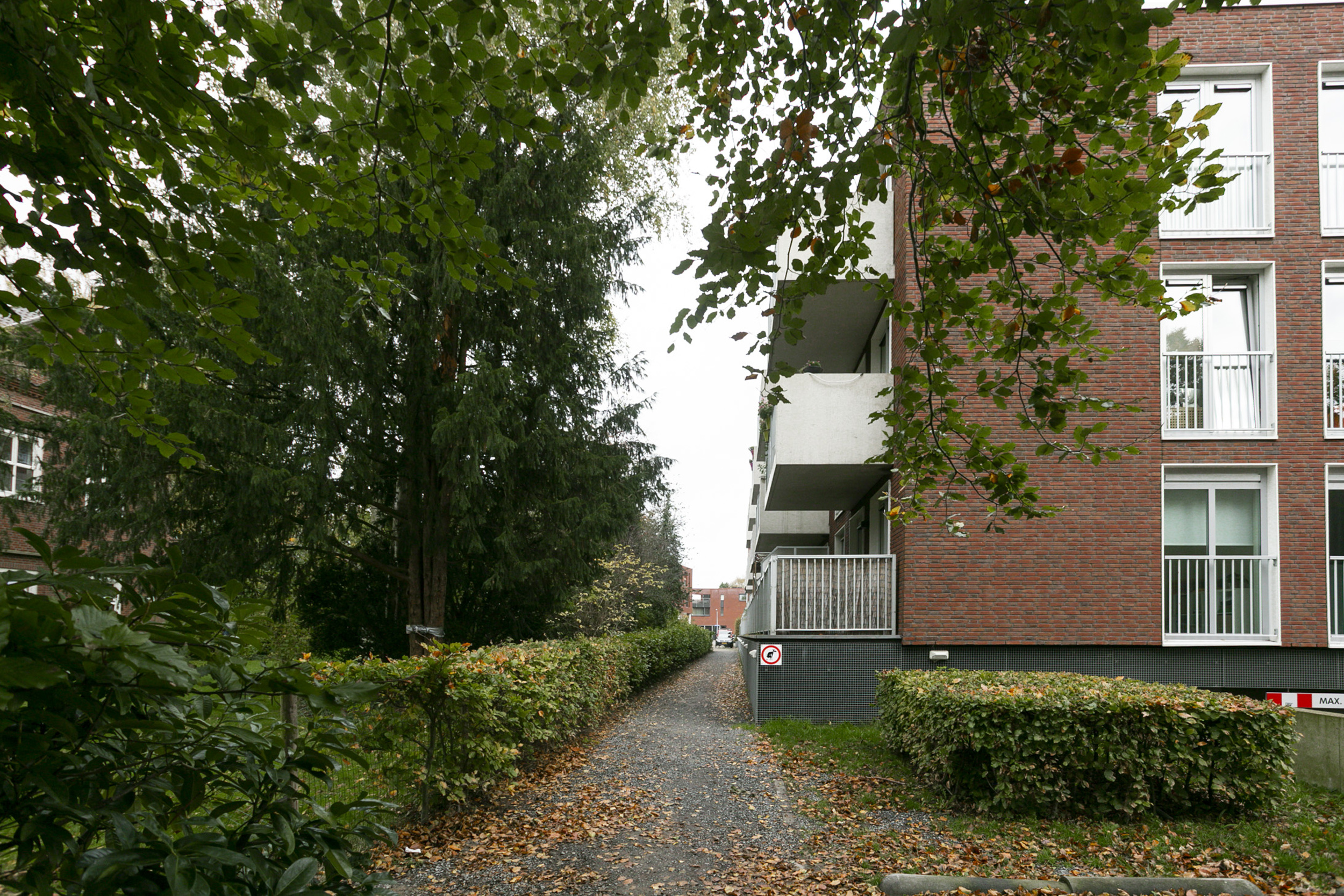 Chabotstraat 81