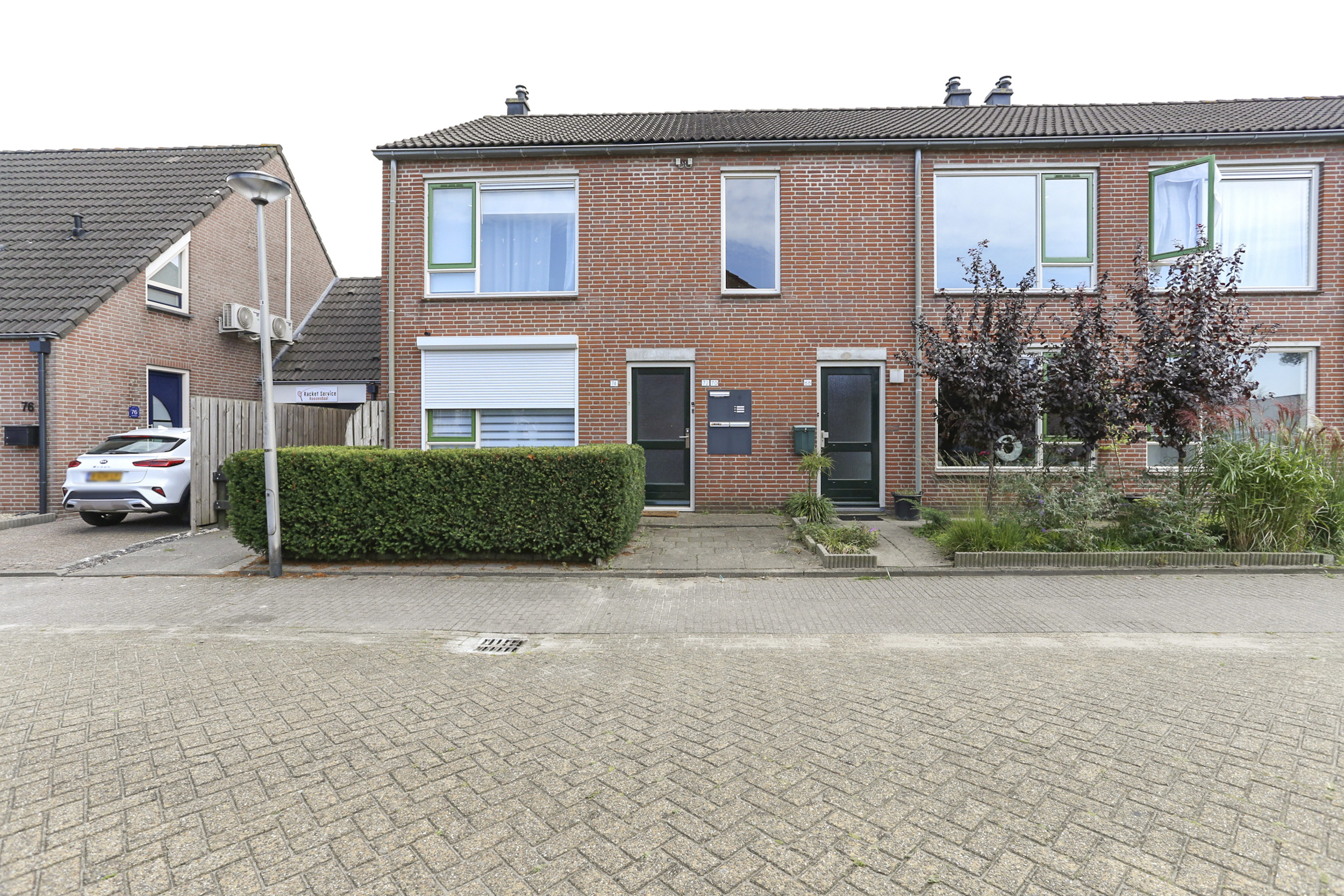 Wilgenrijs , 4711 PK Sint Willebrord, Nederland