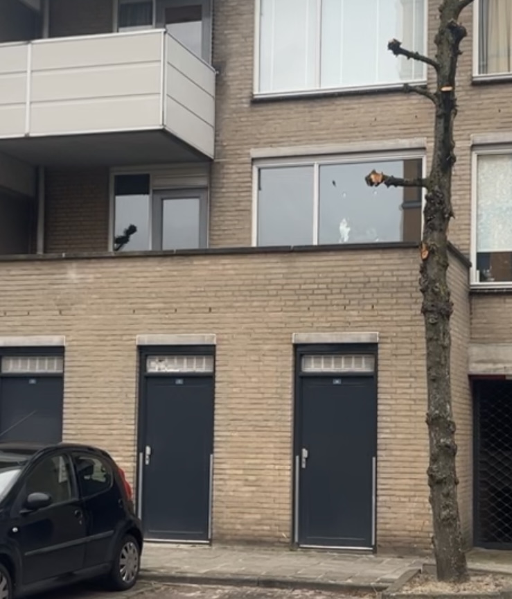 Nieuwe Leuvenaarstraat 36, 4811 MK Breda, Nederland