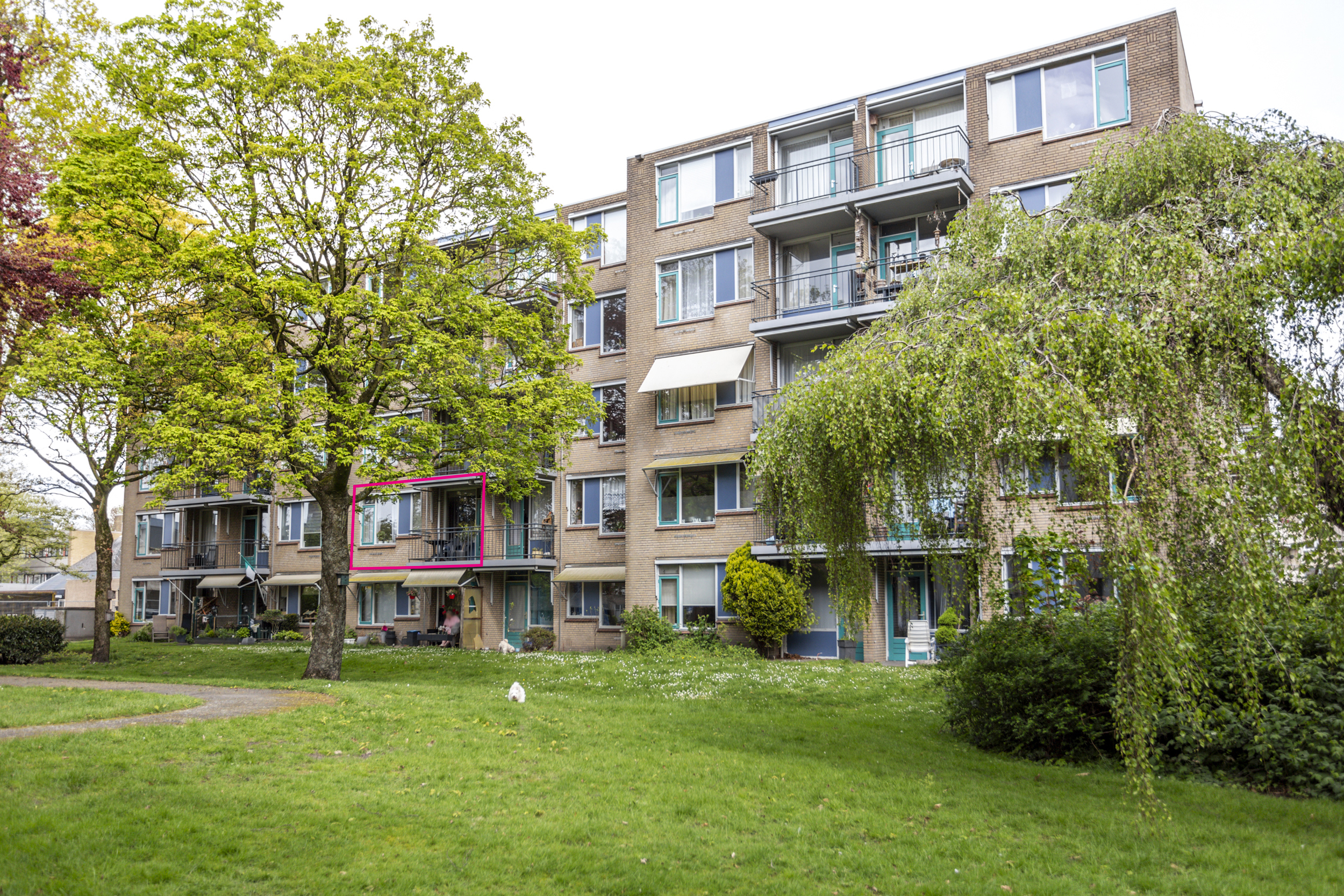 Nieuwe Heilaarstraat 144, 4813 AT Breda, Nederland