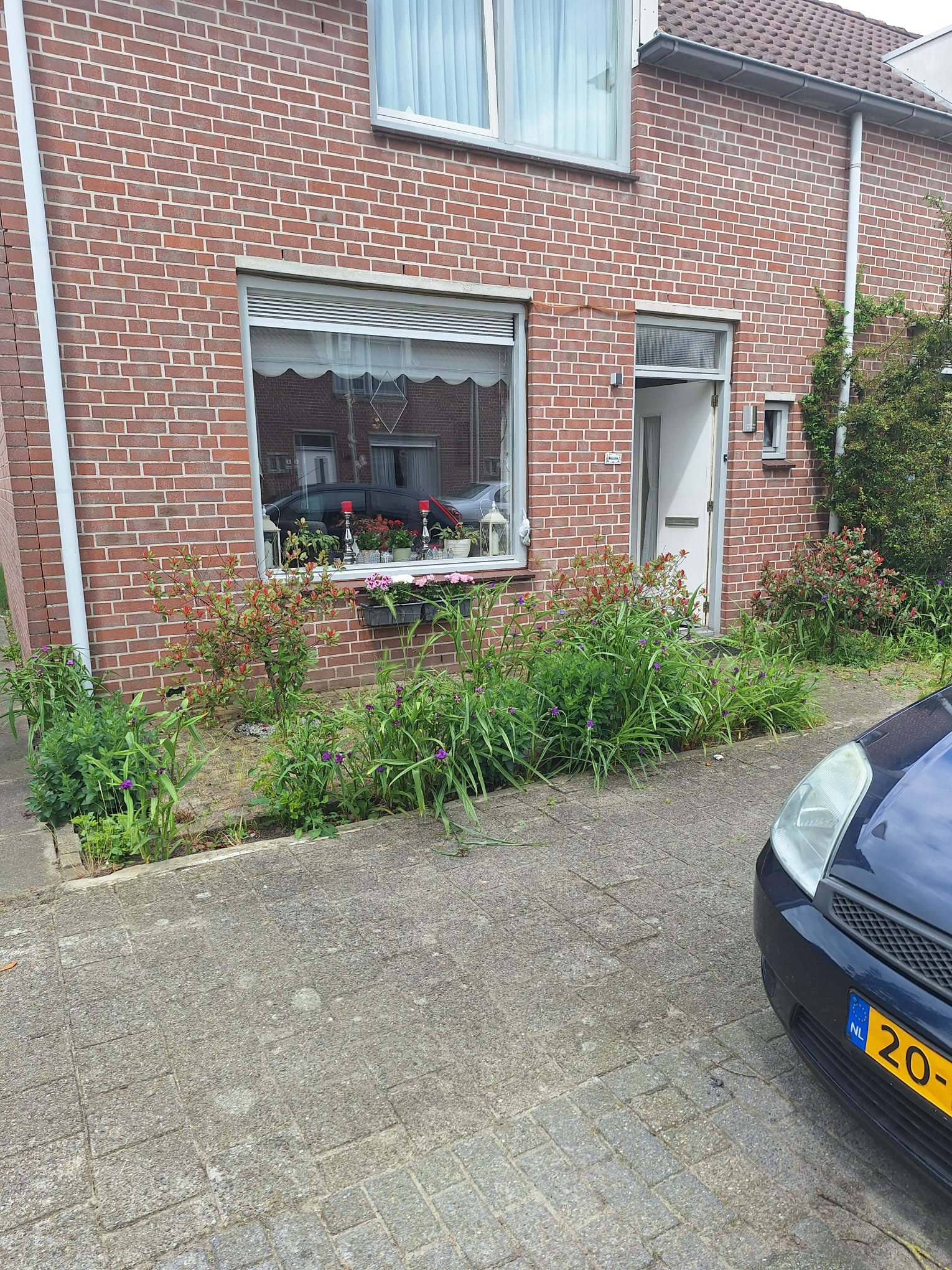 Vogelwikke 1, 4823 CC Breda, Nederland
