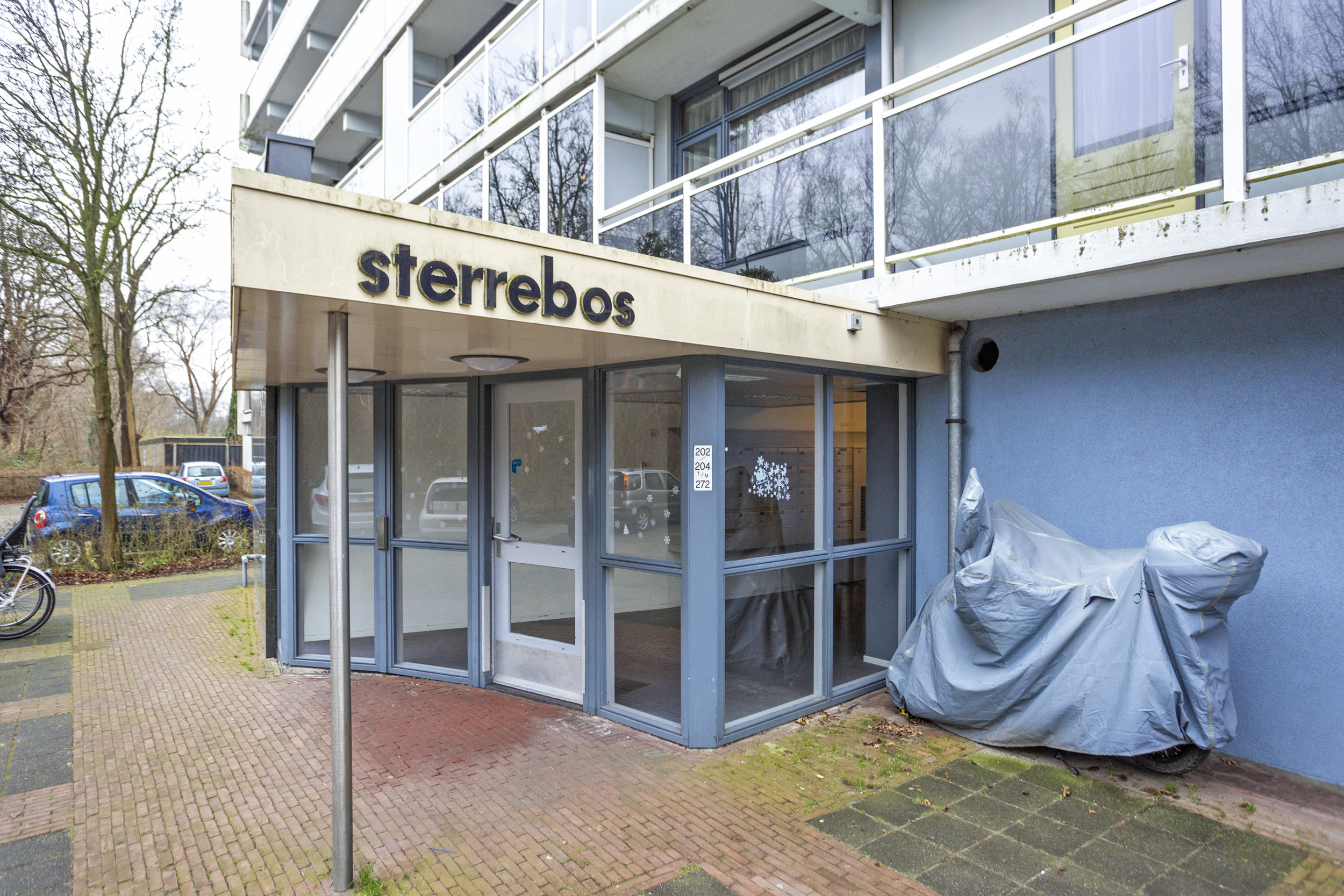 Sterrebos 256