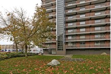 Appartement te huur: Paterserf 131, Paterserf Oosterhout Nb