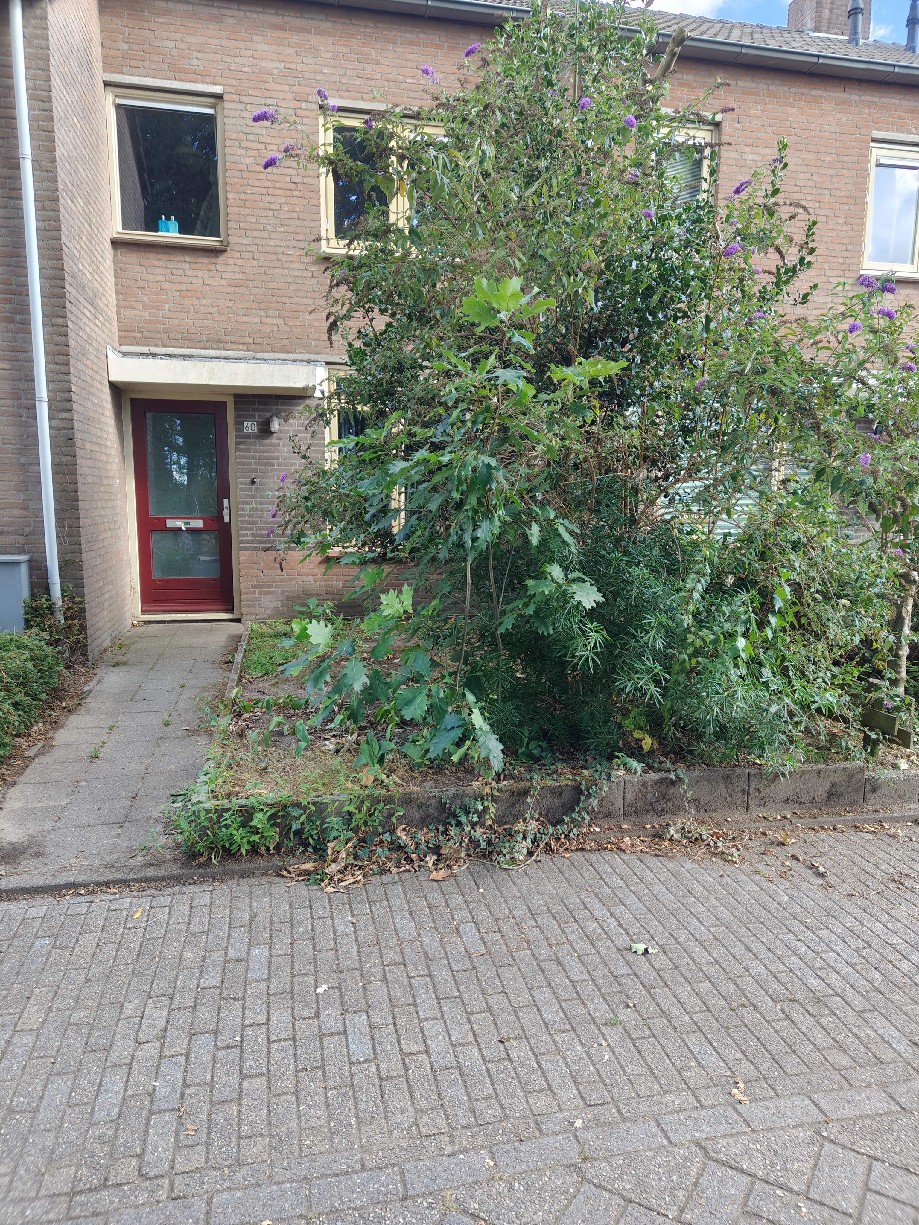 Huurwoning: Lavendelring 60 in Zundert - €500 per maand - 46m²
