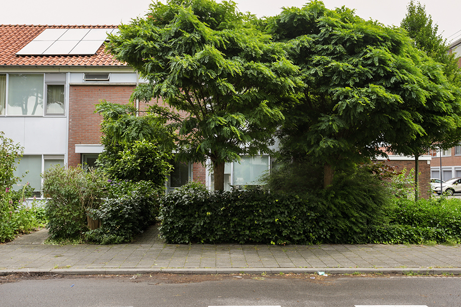 Terraced house for rent: Muiderslotstraat 193, Ypelaar Breda